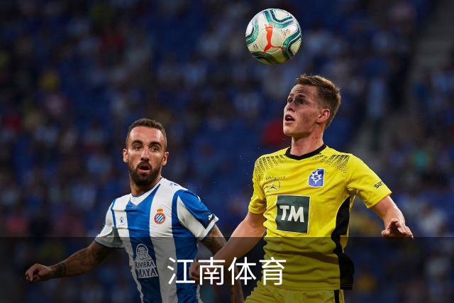江南体育公司简介